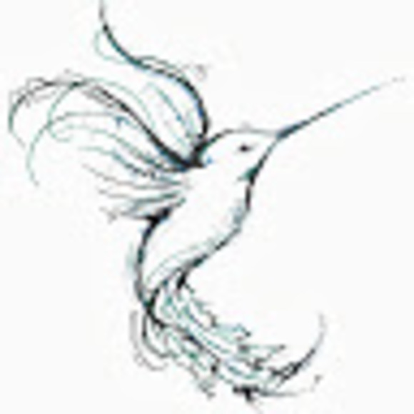 aylahummingbird